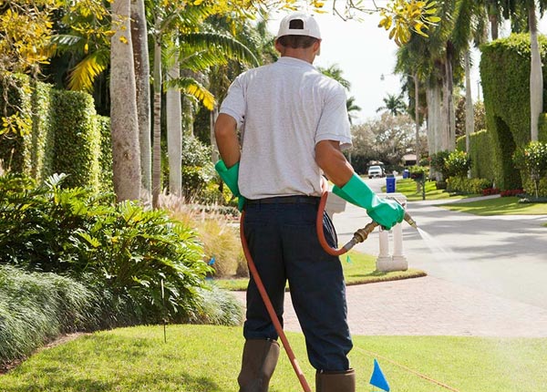 About Fieldon IL Pest Control